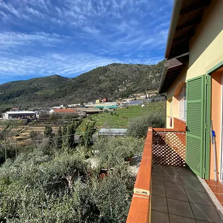 Lemon House *